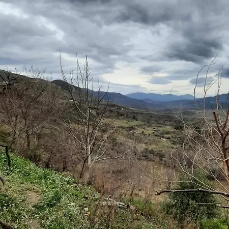 Garufalia *