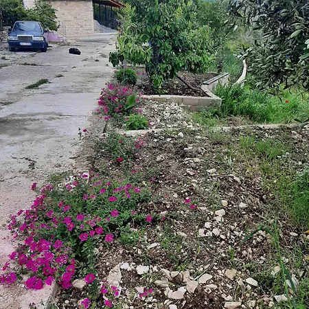 Apartment Garufalia
